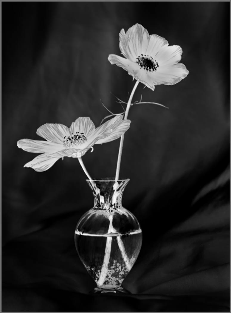 Dainty duo by Diana Wynn Dainty duo