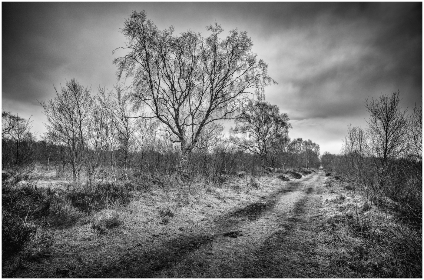 Whixall Moss by Geraint Jones Whixall Moss