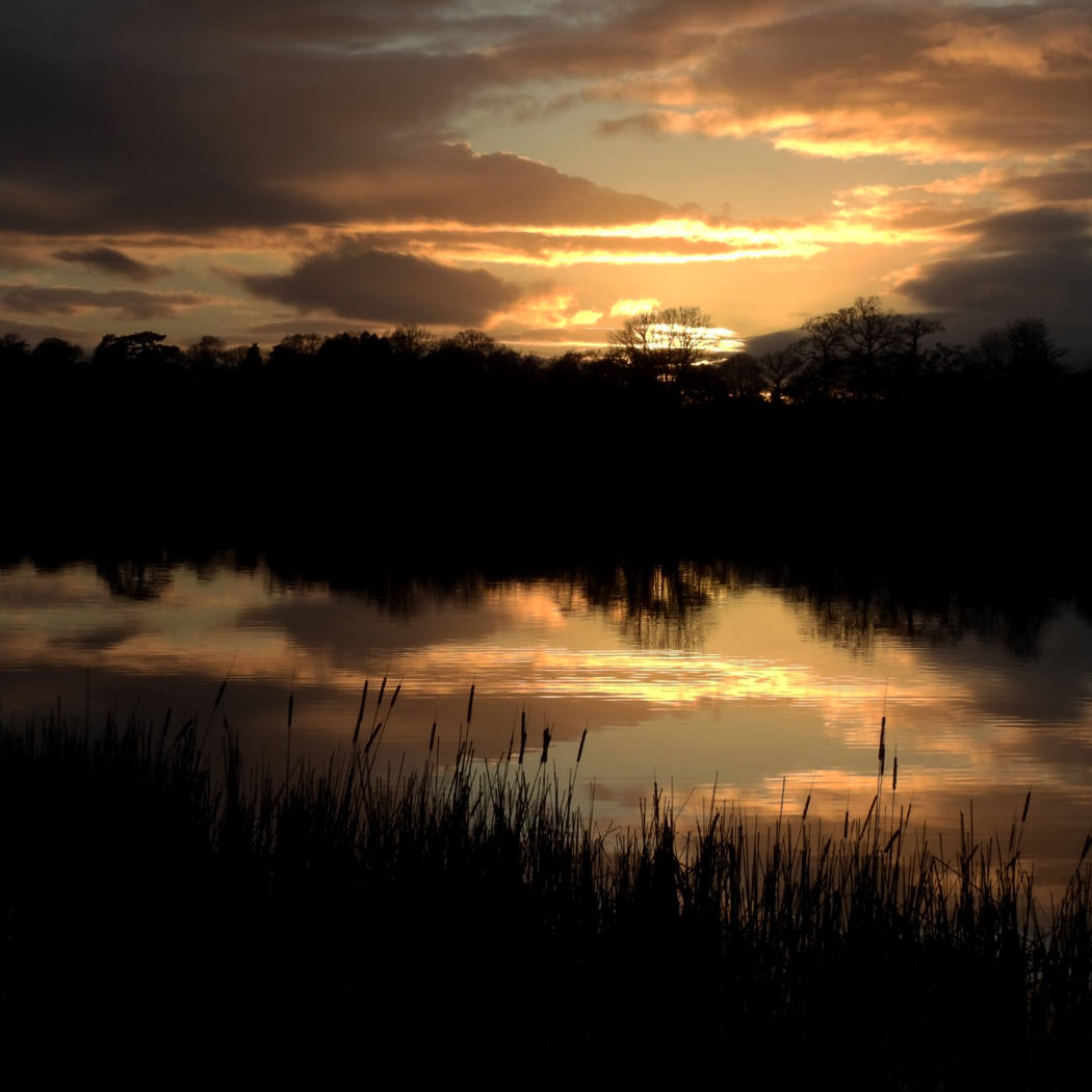 Sunset at Hanmer Mere
