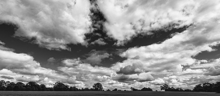 Ian Woodward DIPLOMA OF PROFESSIONAL PHOTOGRAPHY