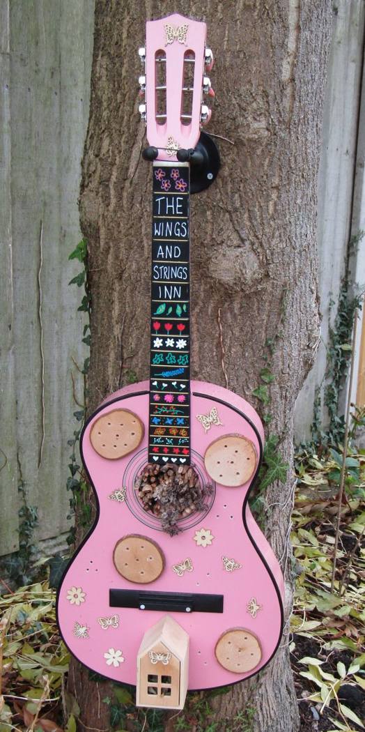 The Wings and Strings Inn