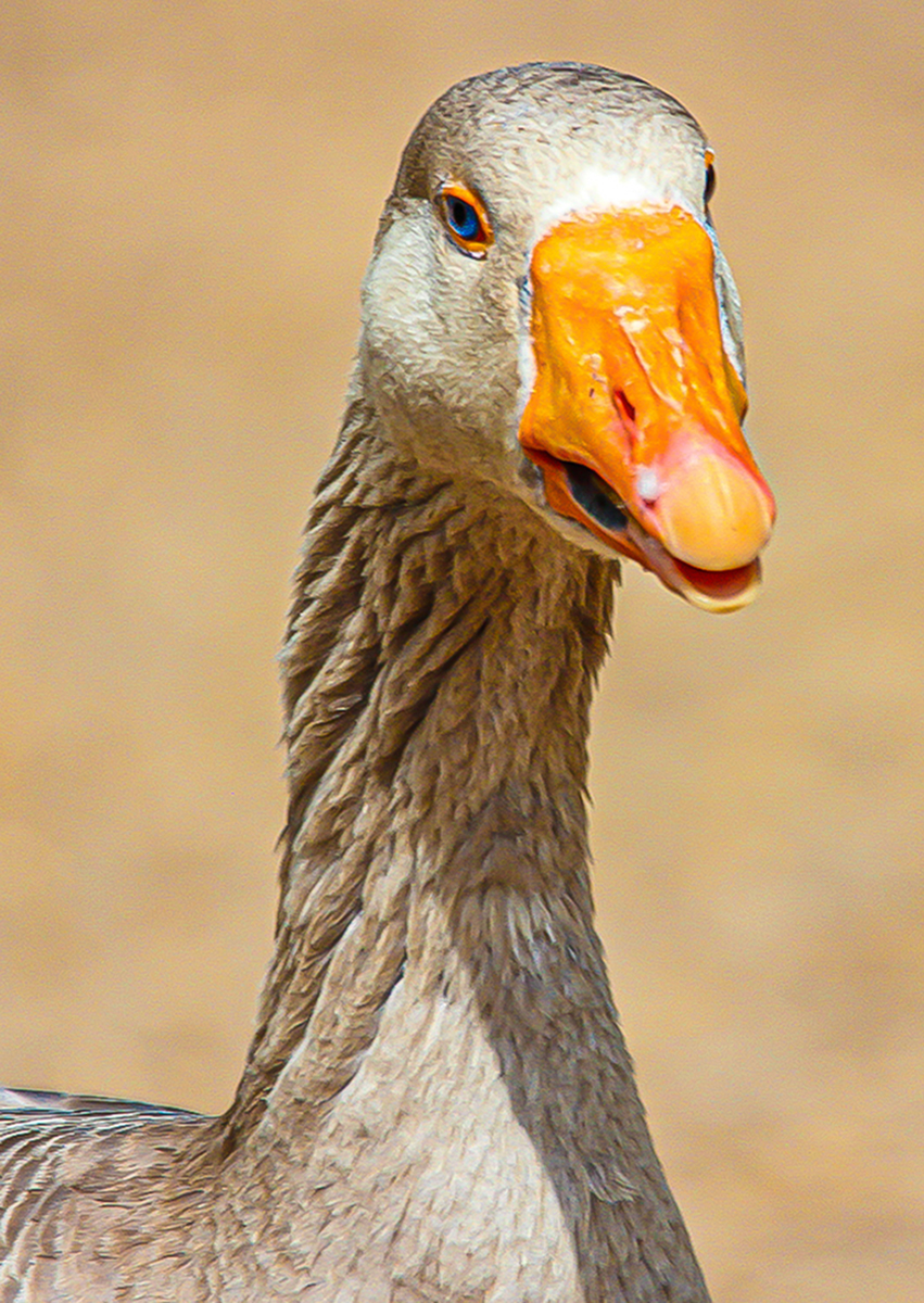 I'm looking at You 1200 px