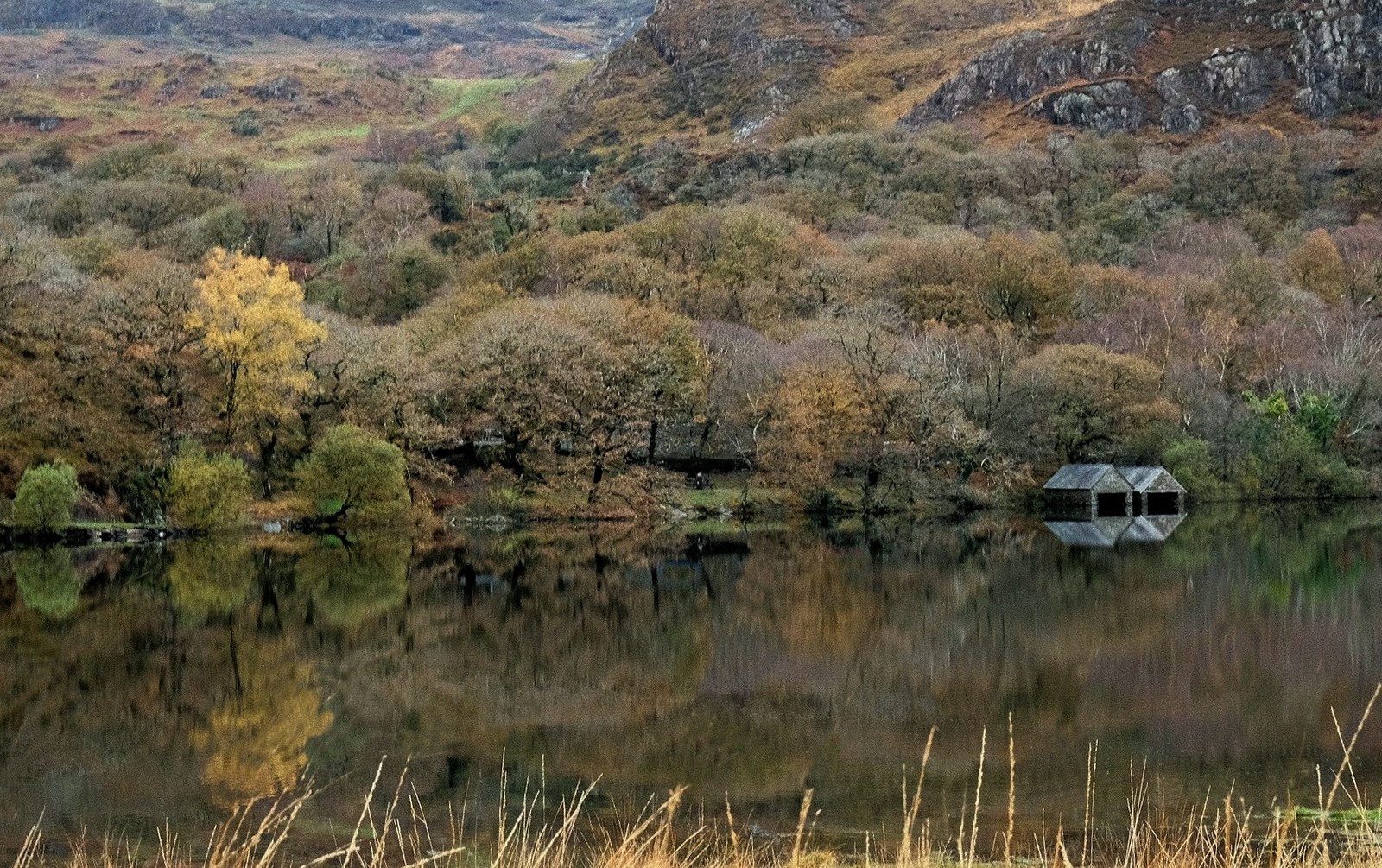 Less Blue by Jill Clark Less Blue