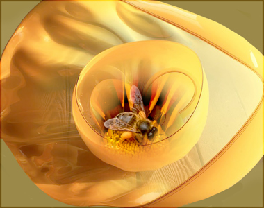 Kathleen Bird LRPS CPAGB