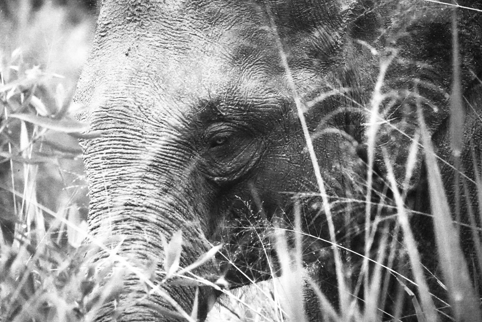 A1 - You can't see me!