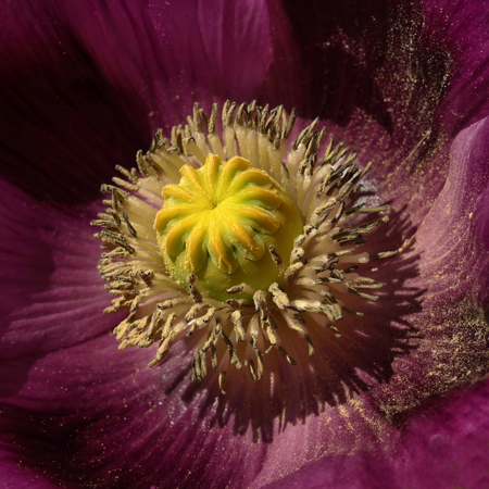 Gordon Rae LRPS  CPAGB