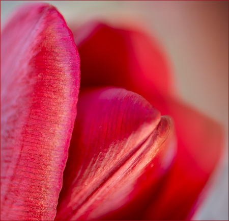 Kathleen Bird LRPS CPAGB