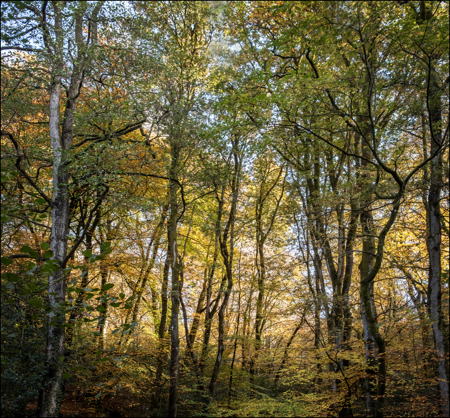 Kathleen Bird LRPS CPAGB