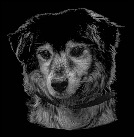 Harold Russell CPAGB/AV