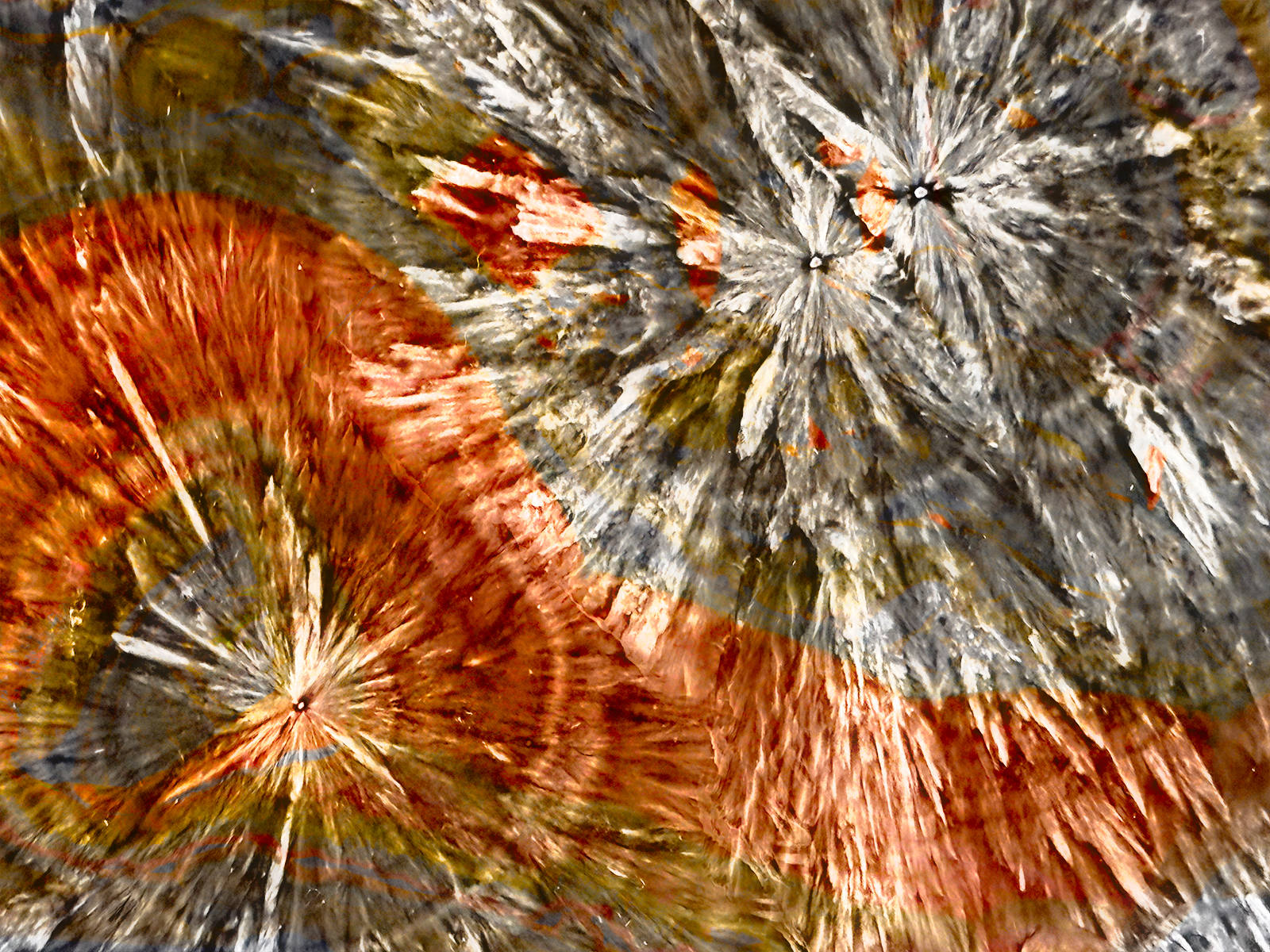 Rock stars by Kathleen Bird Rock stars