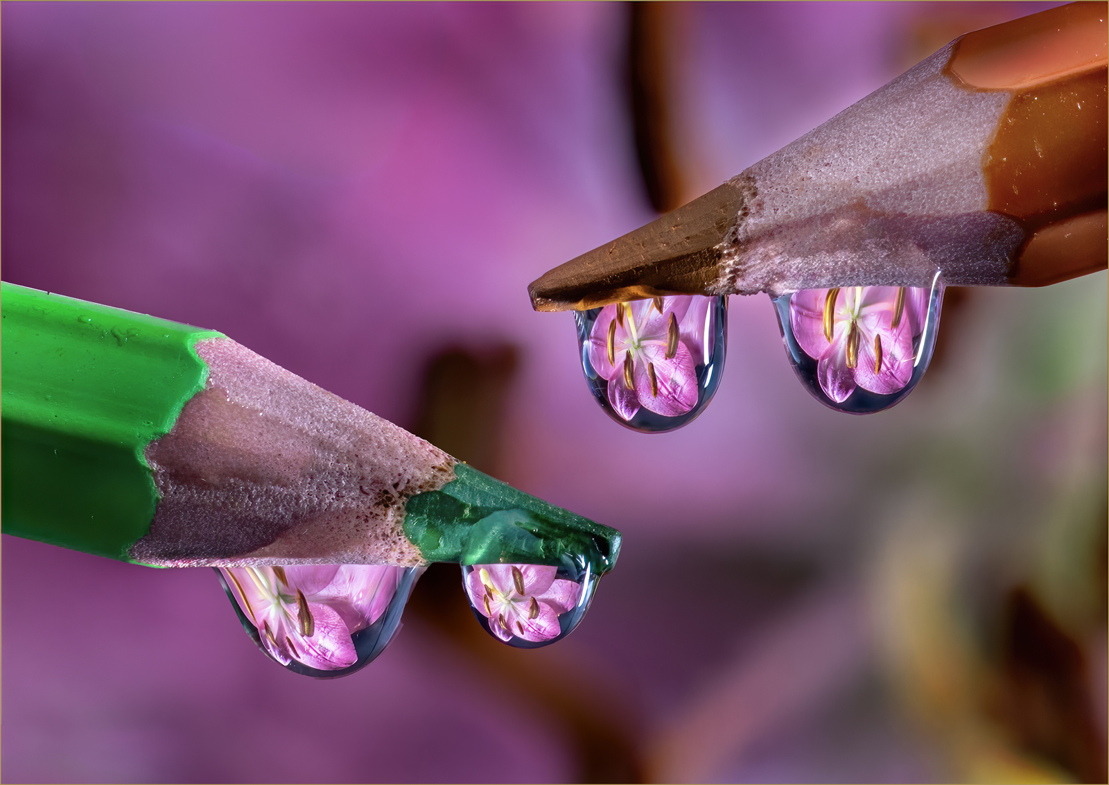 Pencil flower refractions