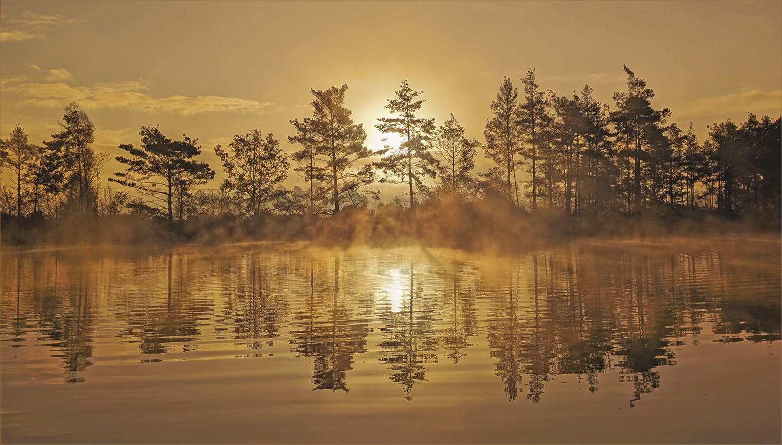 Sunrise at Elstead Moat 