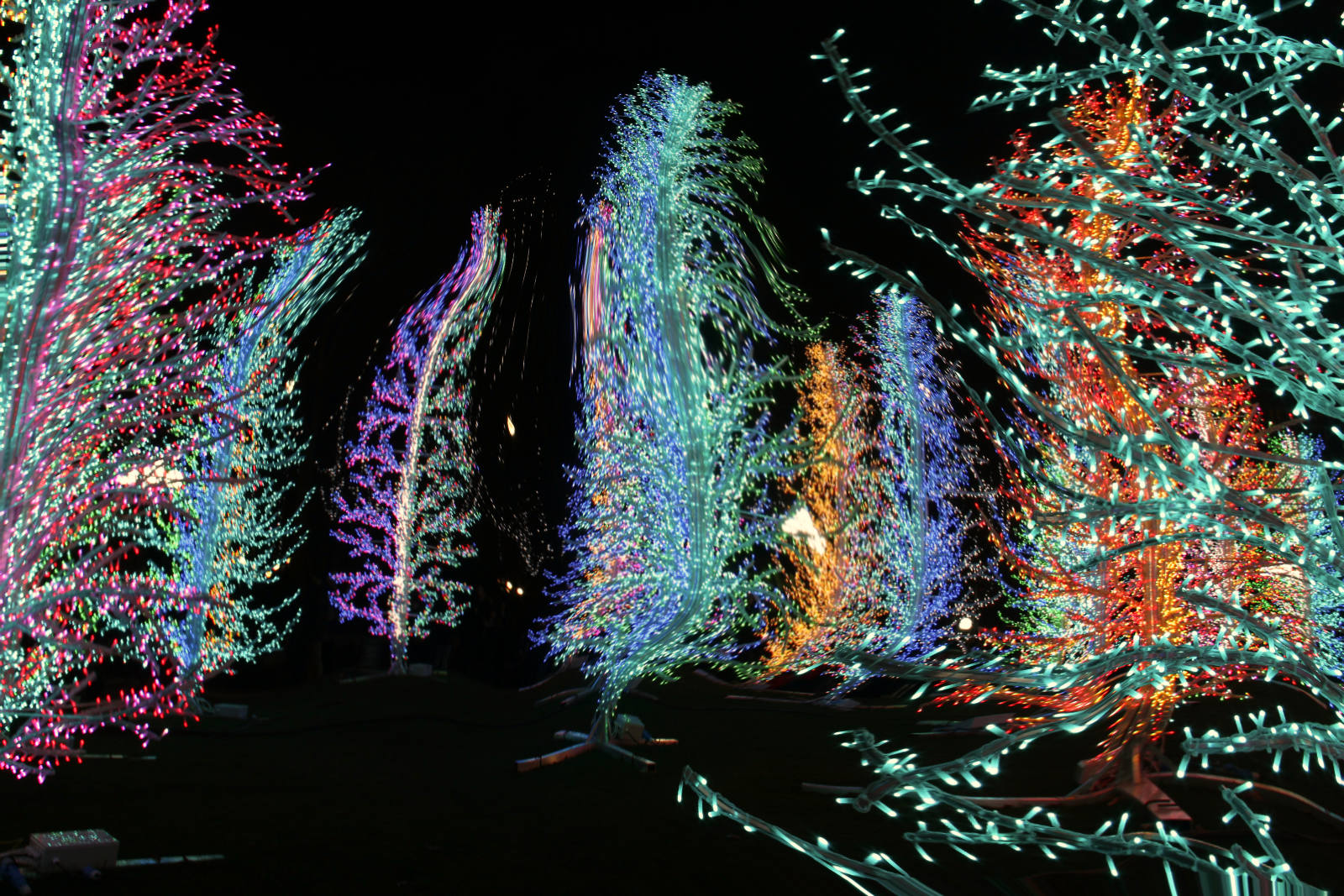 Oily Tree Lights by Mike Kass Oily Tree Lights