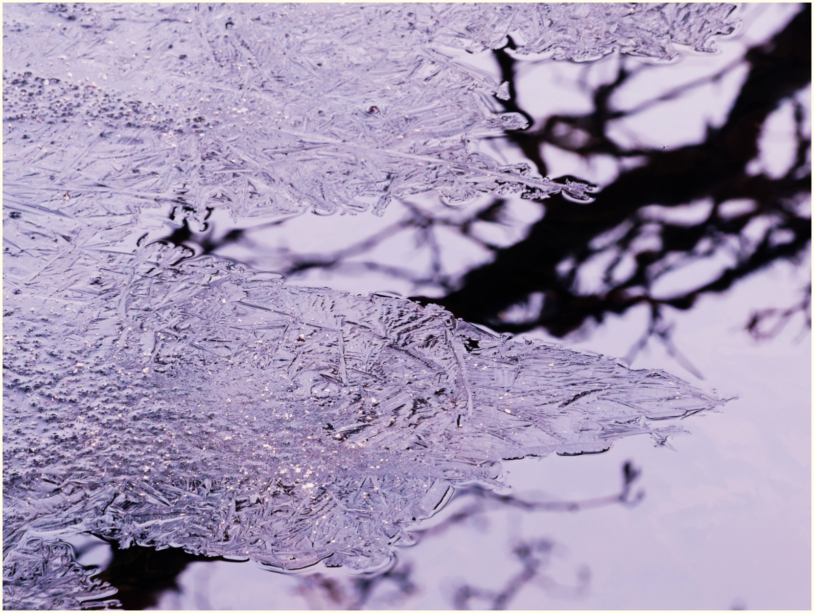 At the edge of the ice by Caroline Allison At the edge of the ice