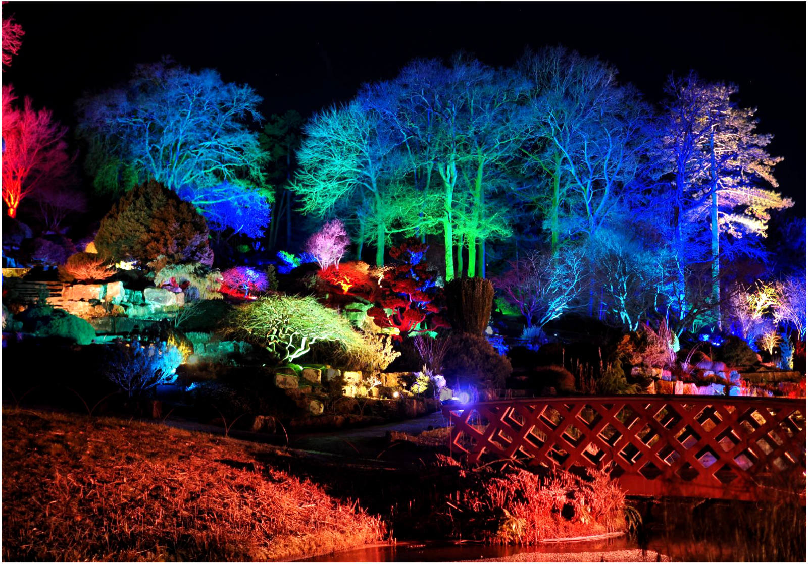 Rockery Scene at RHS Wisley by Ian Rae Rockery Scene at RHS Wisley
