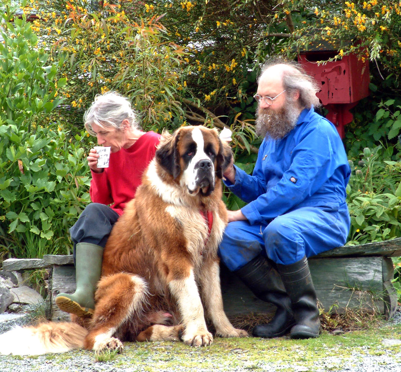 Who is the Hairiest of them all