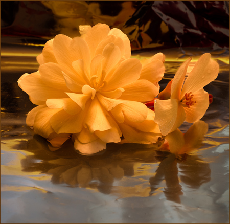 Kathleen Bird LRPS CPAGB