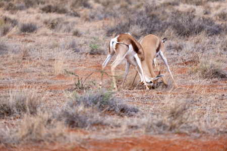 Kathleen Bird LRPS CPAGB