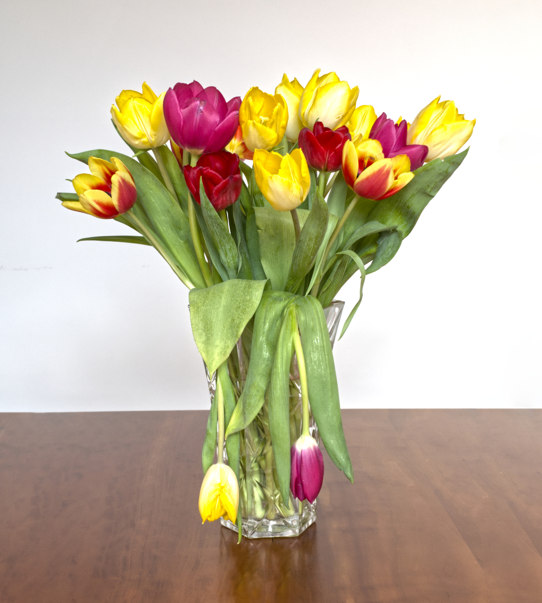 Two Sad Tulip's by Ian Rae Two Sad Tulip's