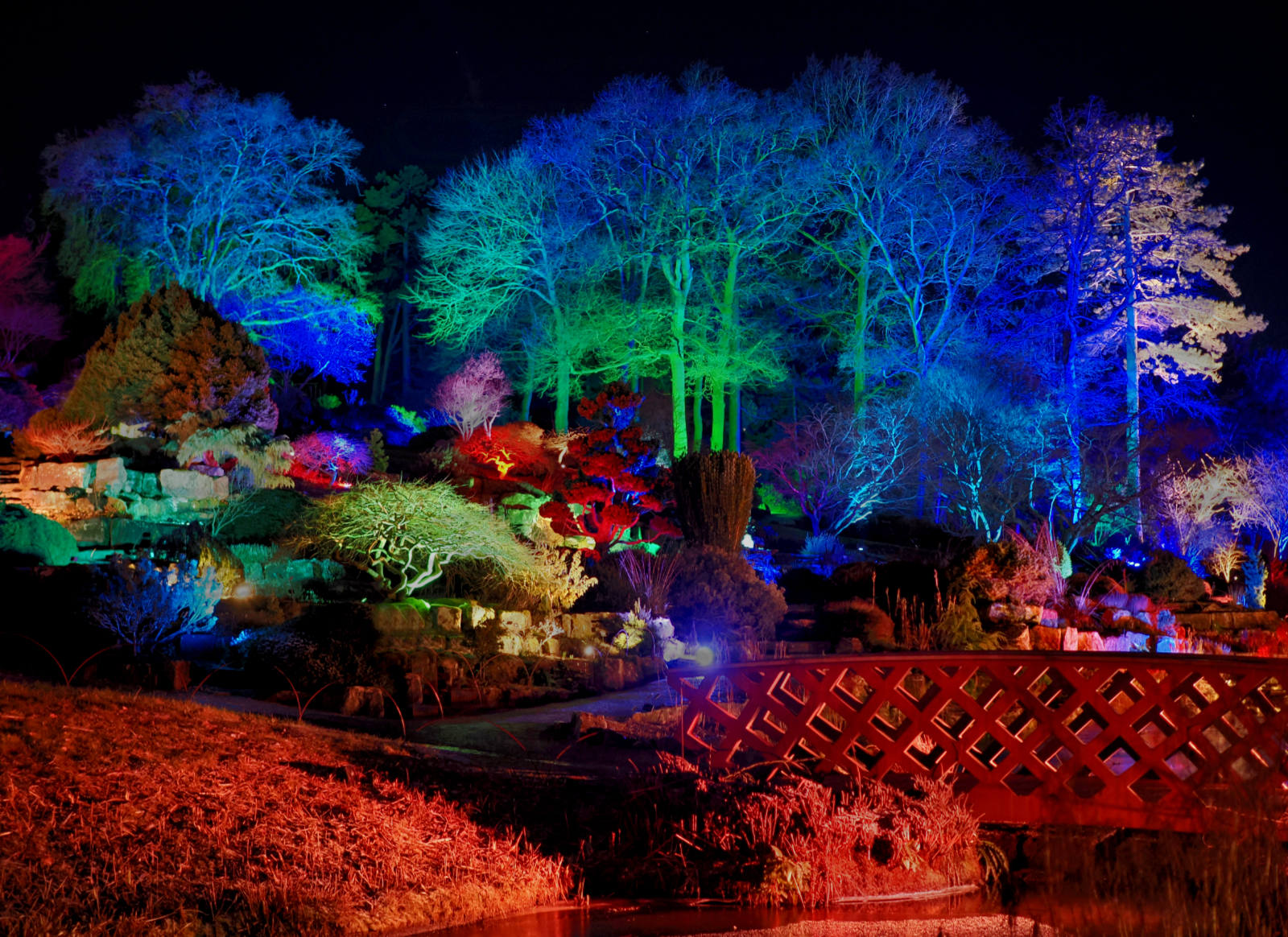 RHS Winter  Illumination