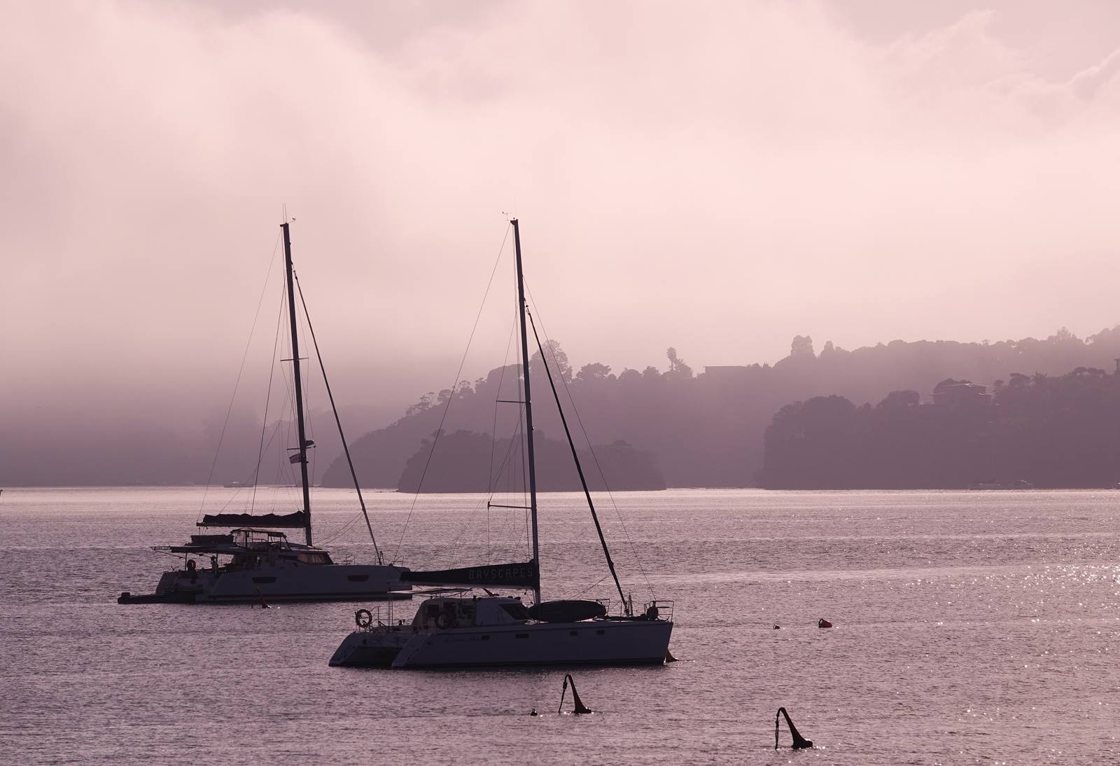 Misty morning, Bay of Island