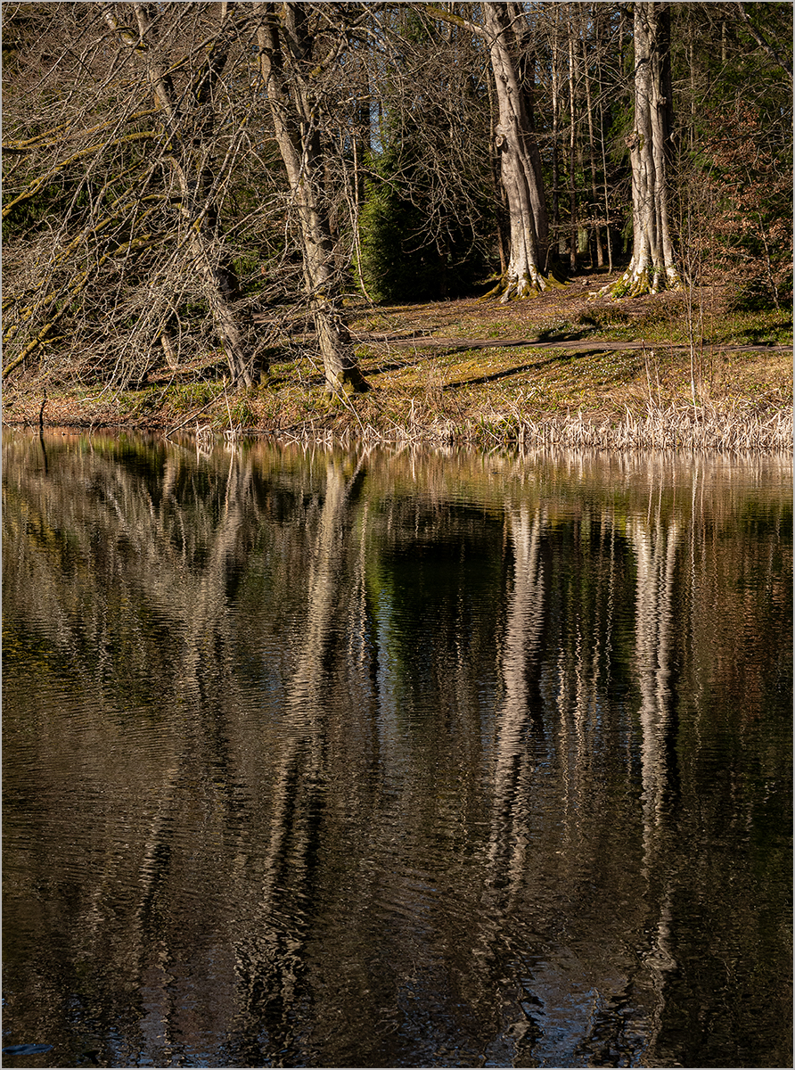 Autumn reflections