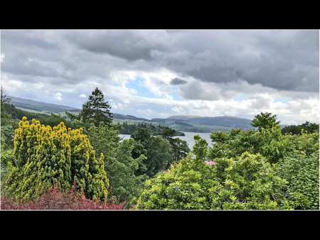 Alan Brown
