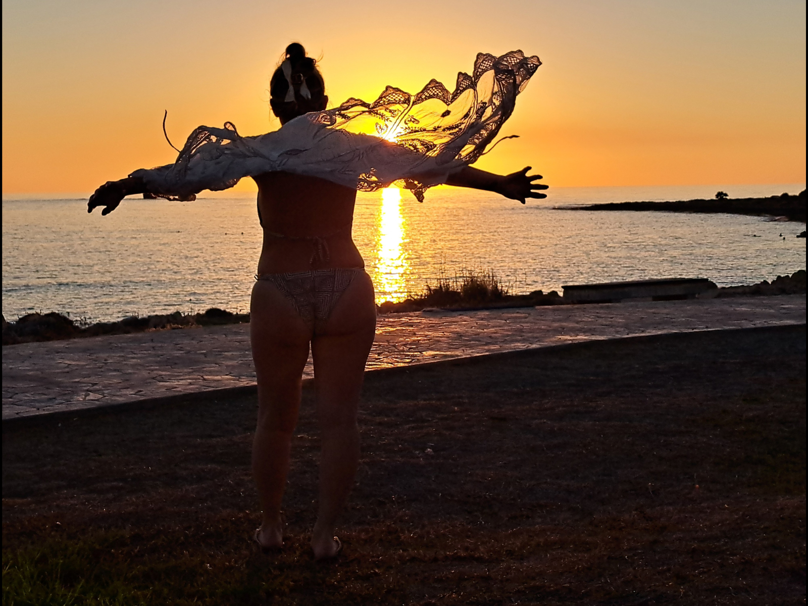 Lace Wings at Sunset by Mike Hortop Lace Wings at Sunset