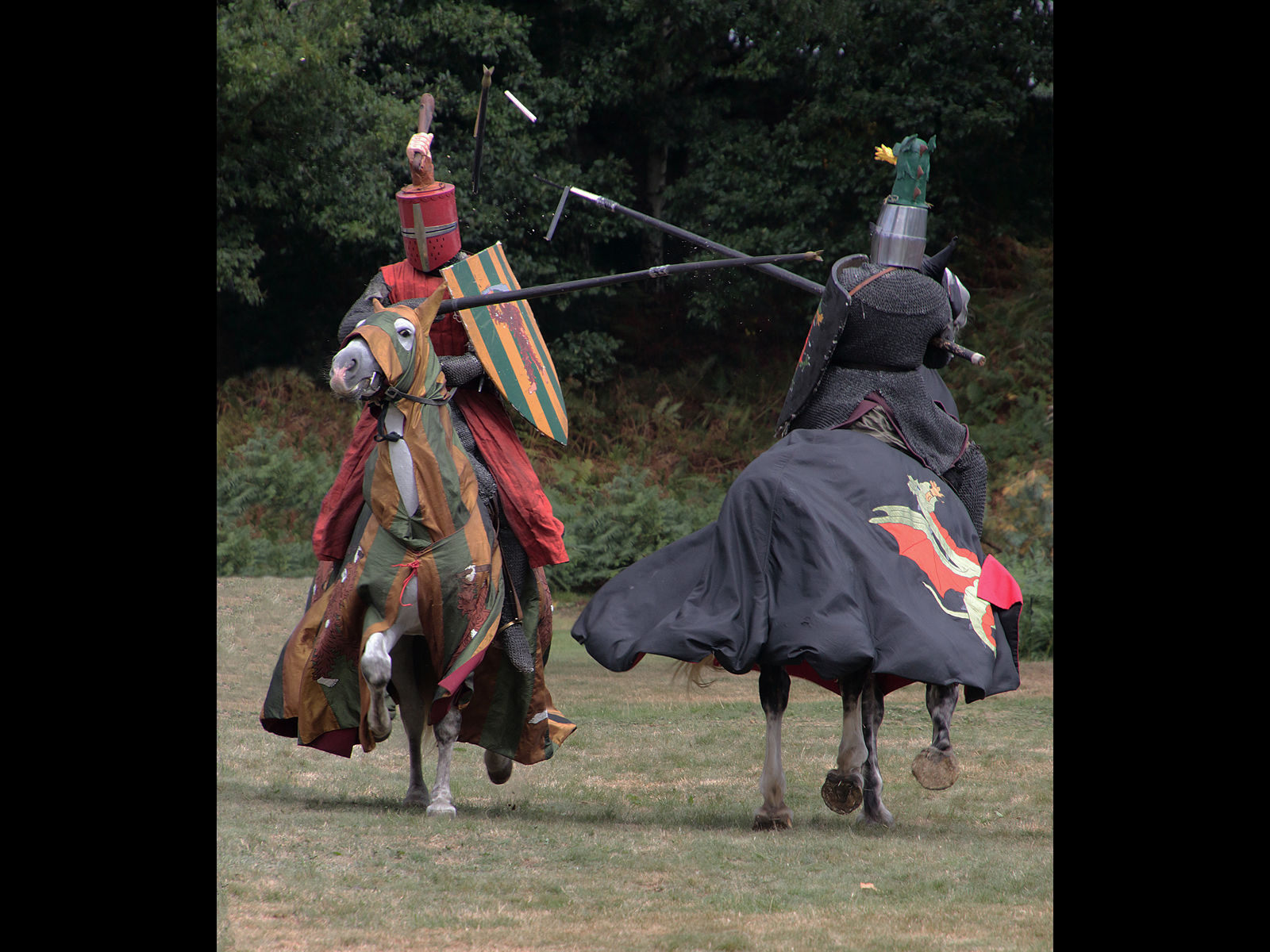 AHardwick_Jousting by Diane Hardwick AHardwick_Jousting