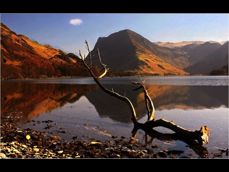 Alan Wade