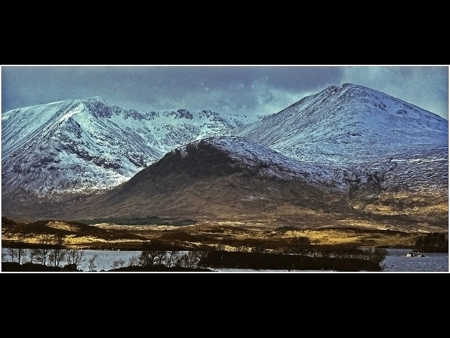Alan Wade