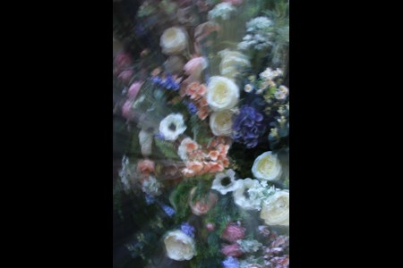 Jane Bodkin