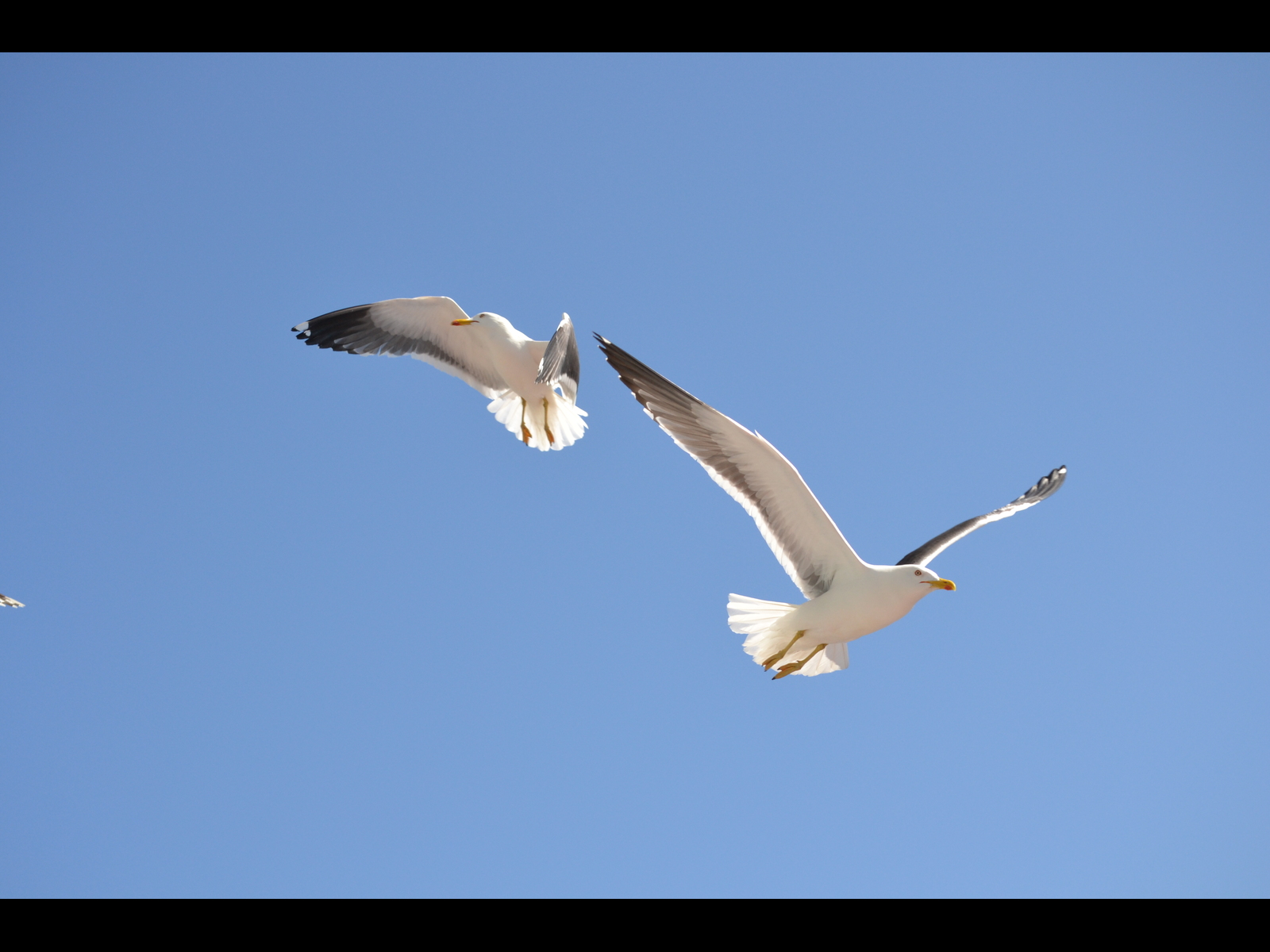 The two of us by Michael Lane The two of us