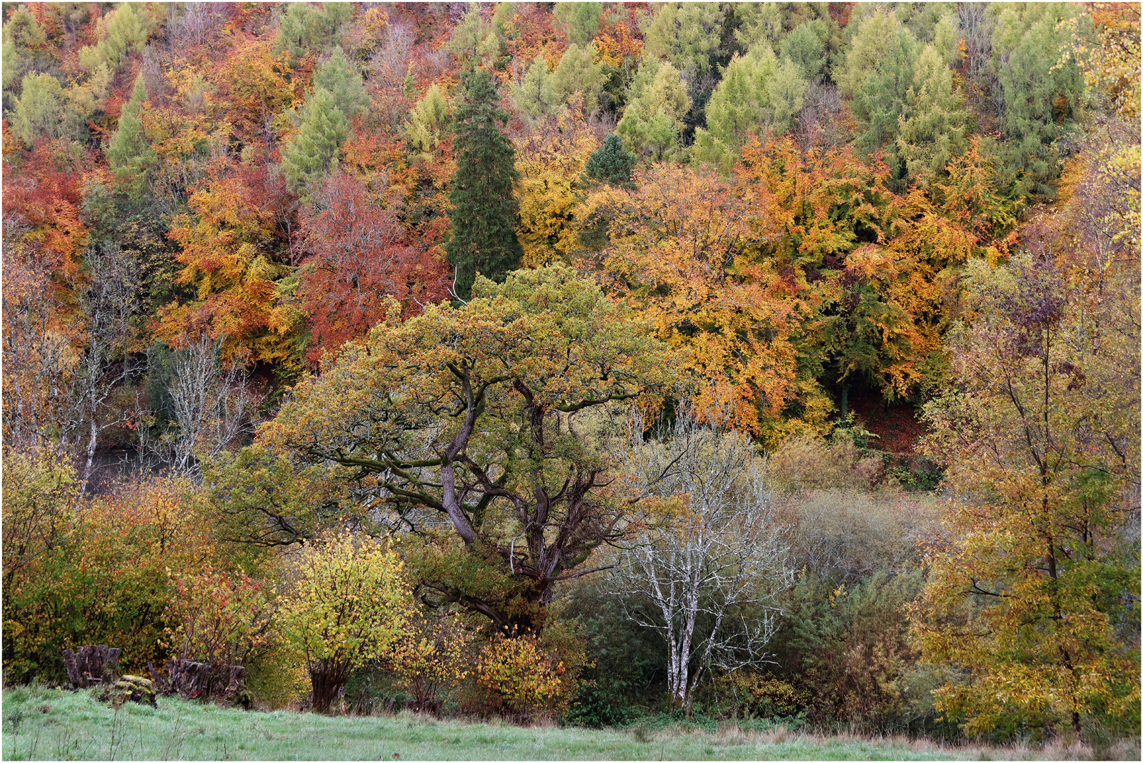 Autumn by Derrick Whitmore Autumn
