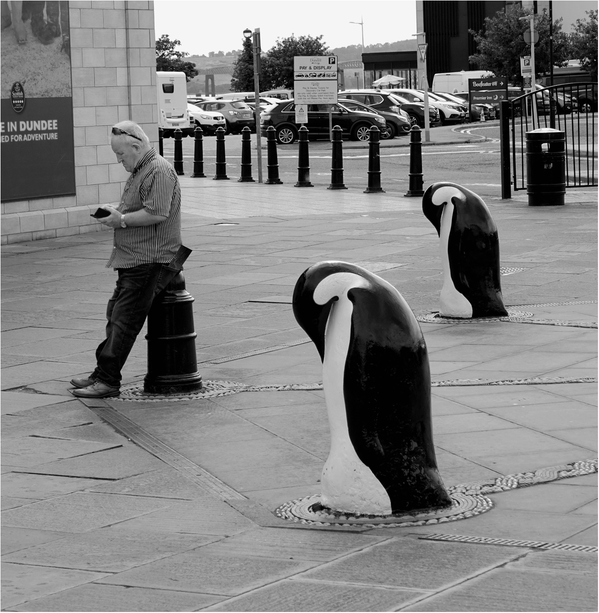 In Dundee For Adventure! by Carol Barchou In Dundee For Adventure!