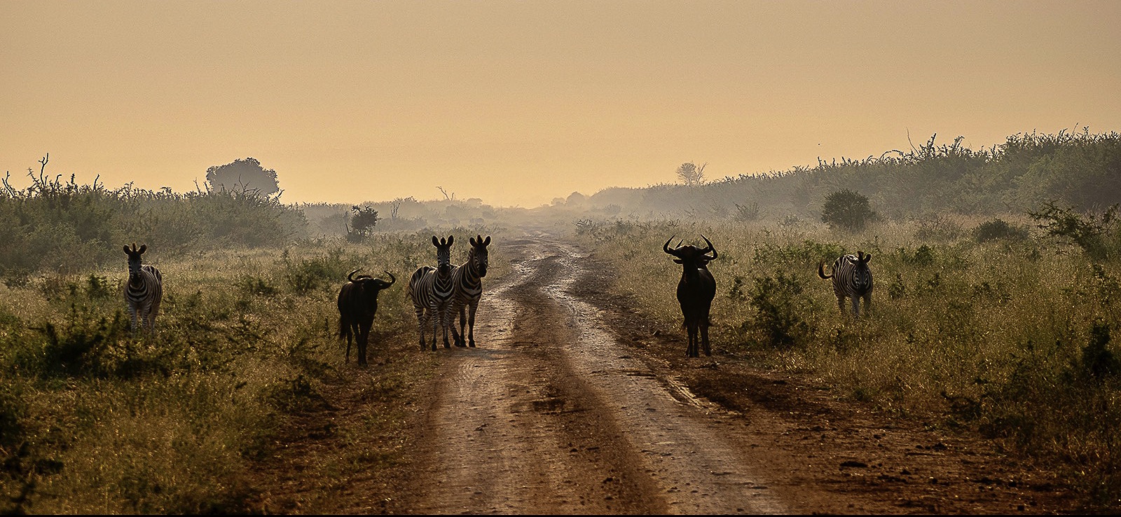 Wending our way home by Mandi Horwood Wending our way home
