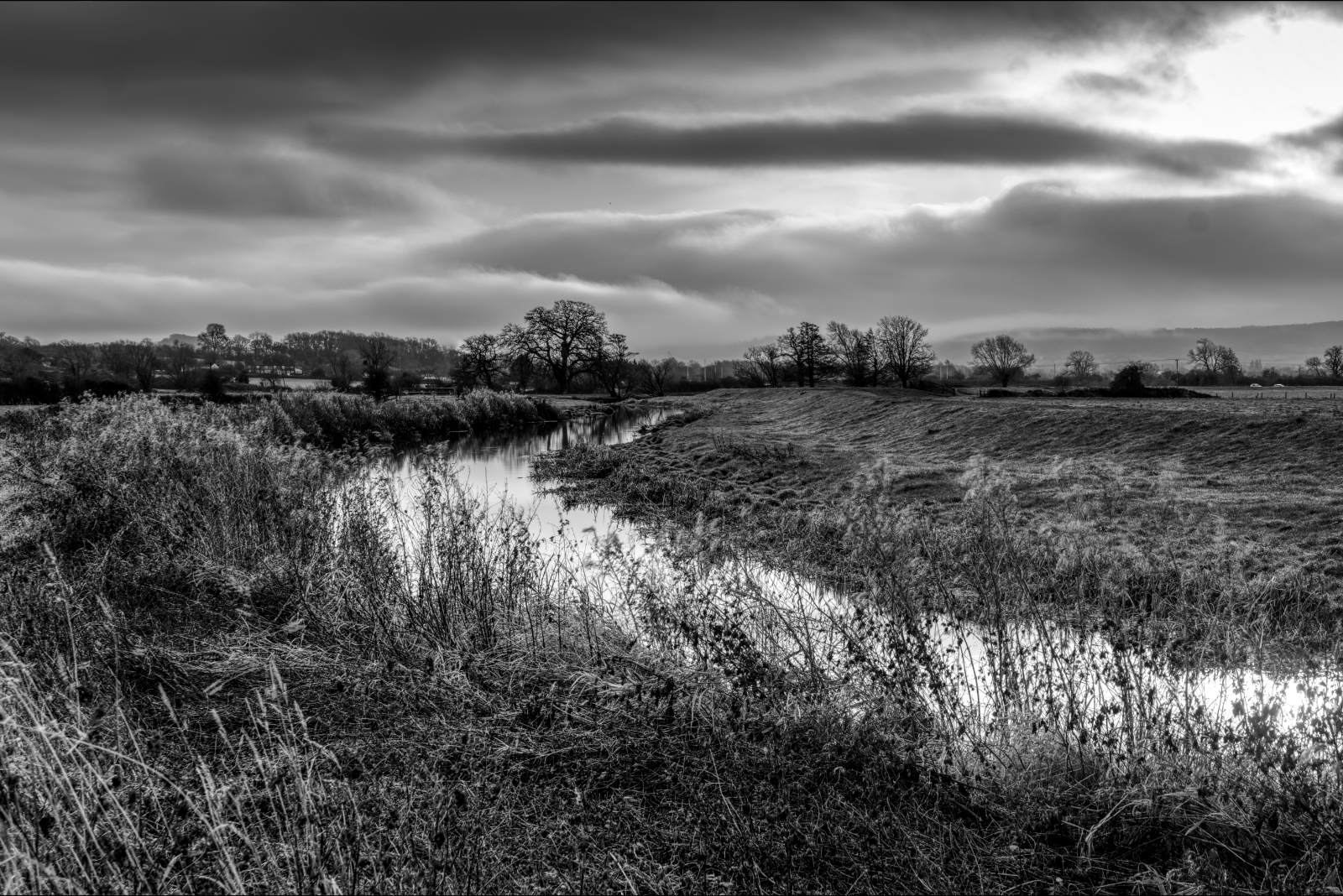River Frome by Richard Gibbs River Frome