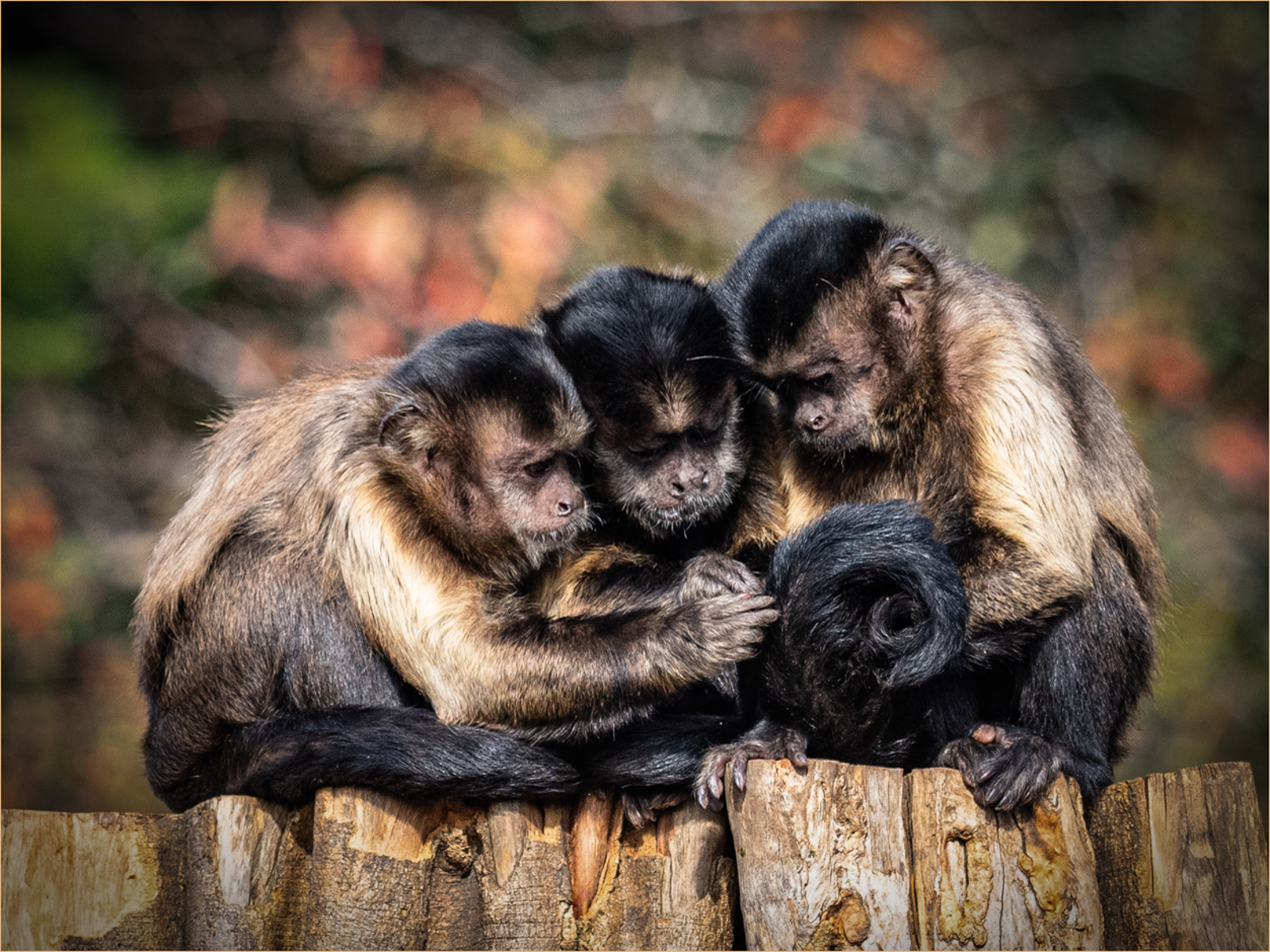 What's Trump done now? by Ian Peters What's Trump done now?