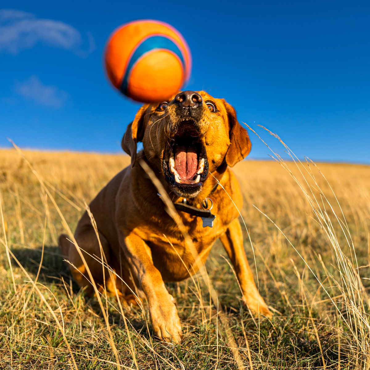 Eyes on the Prize by Mick West Eyes on the Prize