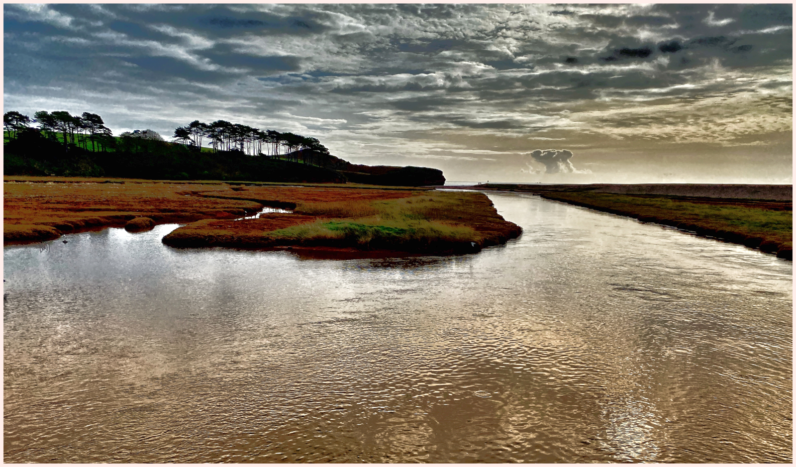 The Otter Estuary by Chris Organ The Otter Estuary