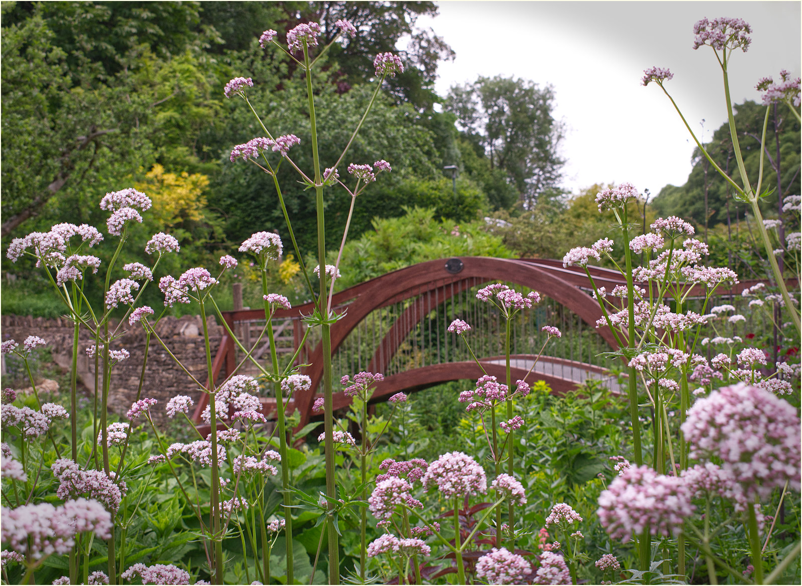 Bridge and foliage by Chris Organ Bridge and foliage
