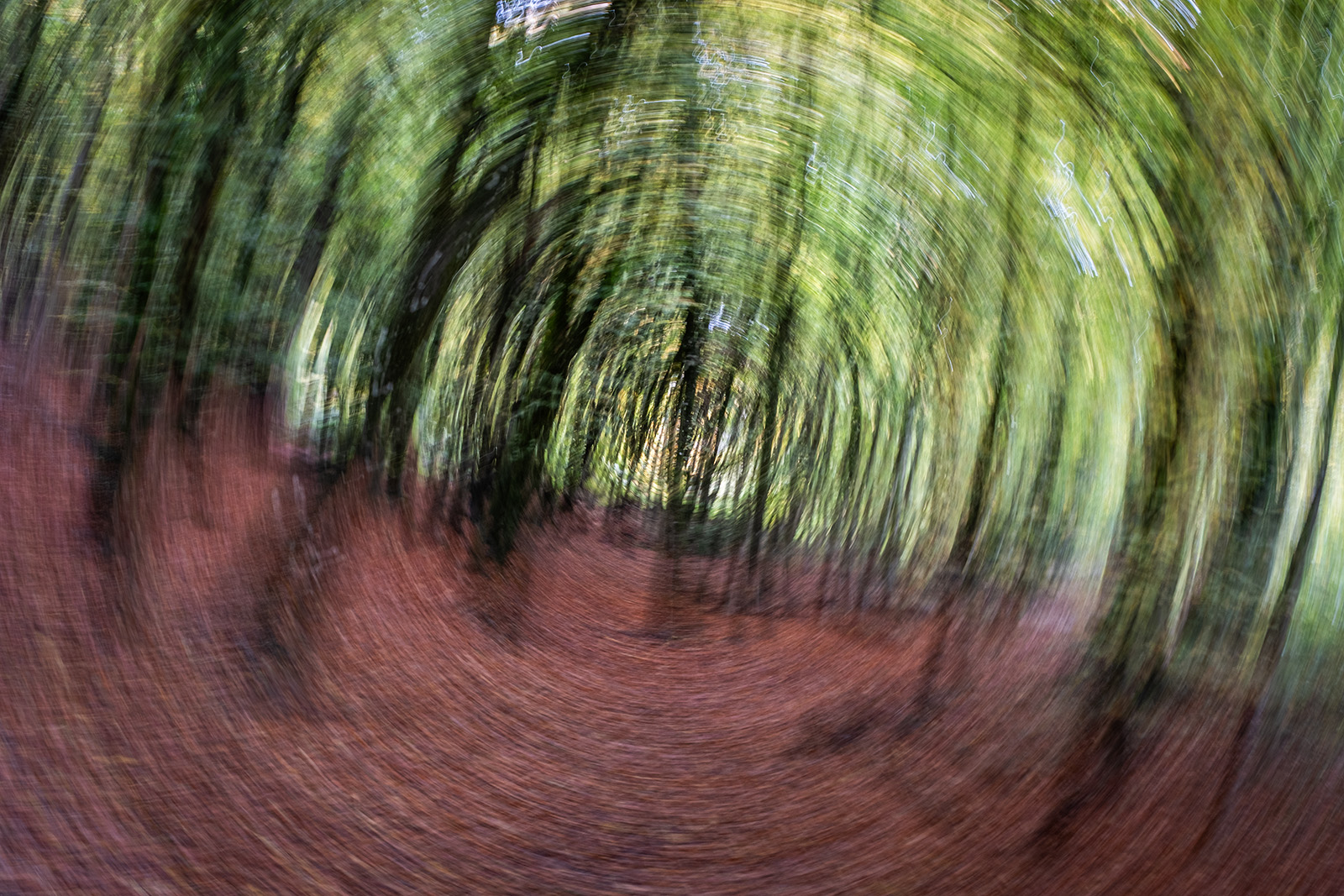 Wood ICM by Gerry Chance Wood ICM