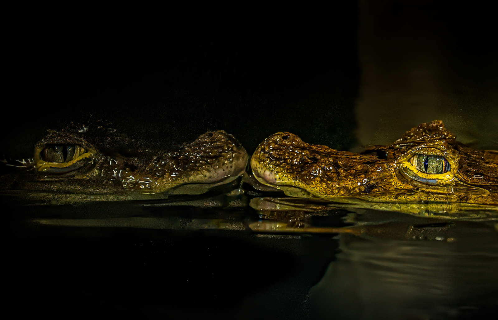 Checking the mirror by Richard Atkinson Checking the mirror