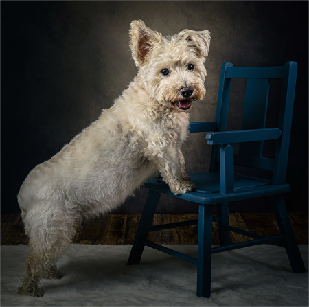 Trish Bloodworth EFIAP/B, BPE1