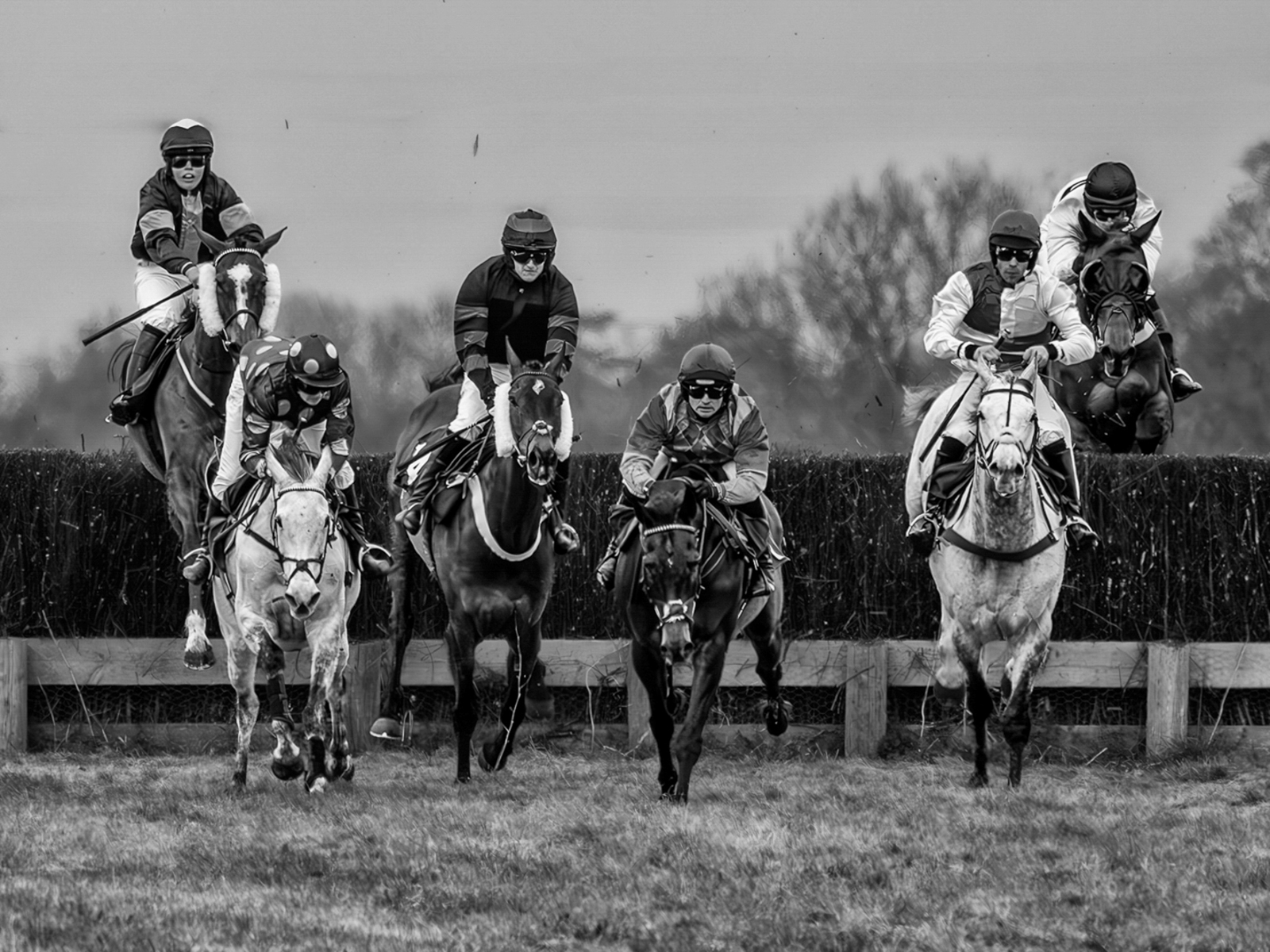 The race is on by Jesse Cason The race is on