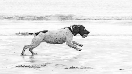 Trish Bloodworth EFIAP/B, BPE1