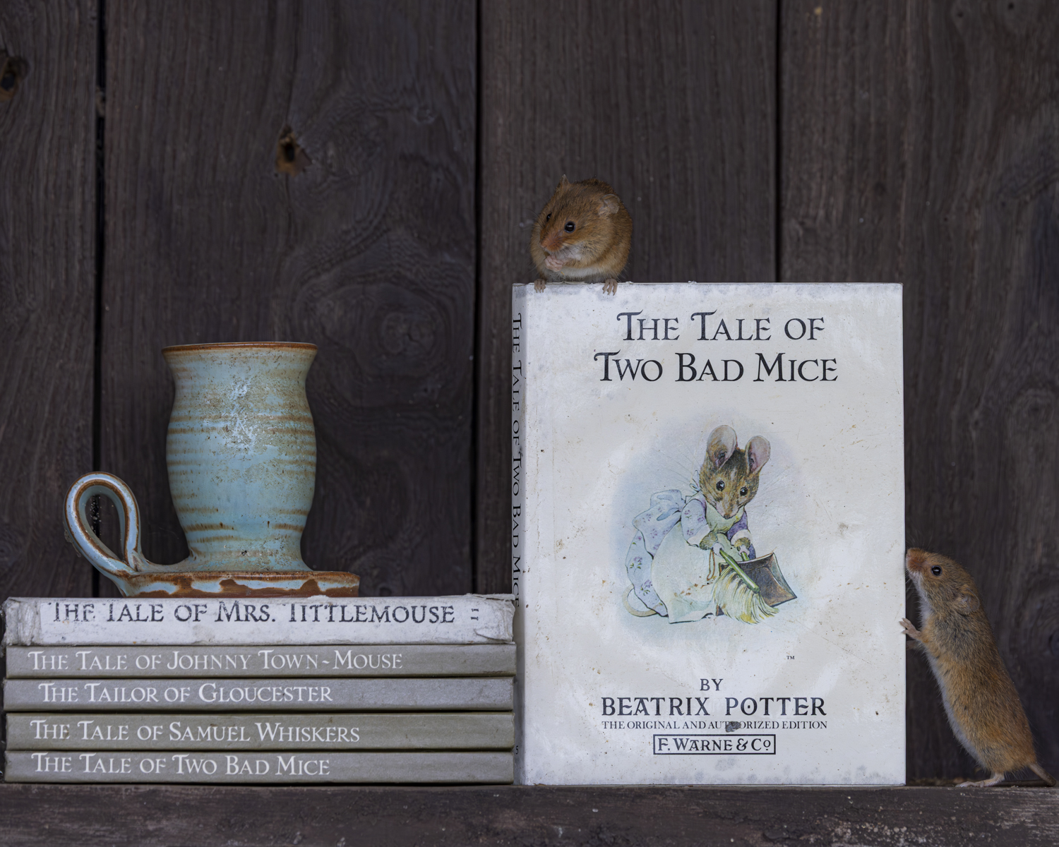 The Tale of Two Bad Mice