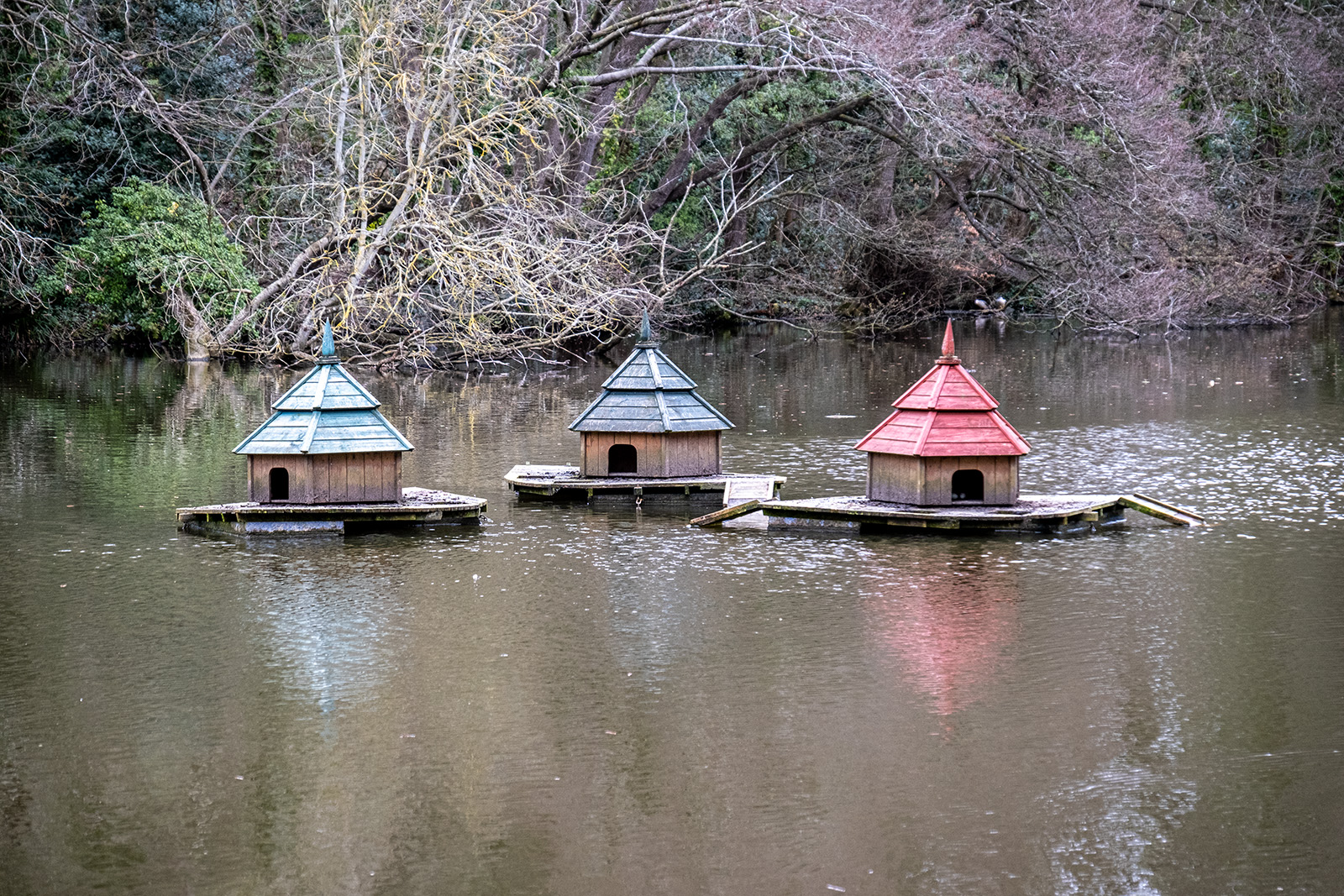 Terrapin Houses