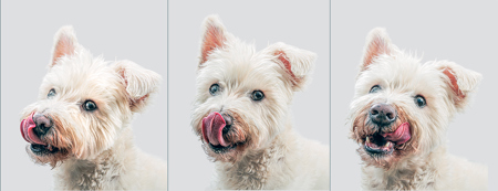 Trish Bloodworth EFIAP/B, BPE1