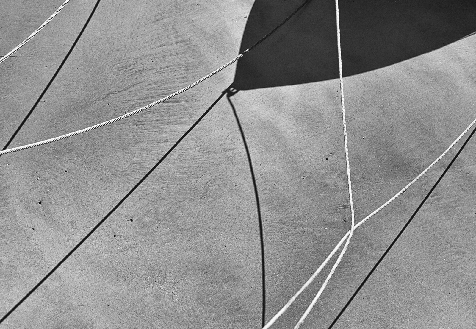 Ropes by Kerrin Malone Ropes